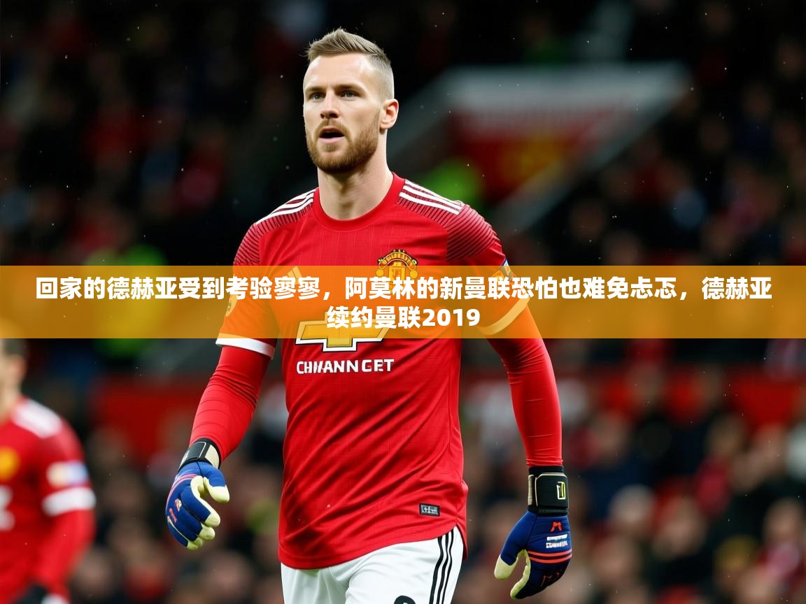 2025九游娱乐官网入口回家的德赫亚受到考验寥寥,阿莫林的新曼联恐怕也难免忐忑,德赫亚续约曼联2019 第1张