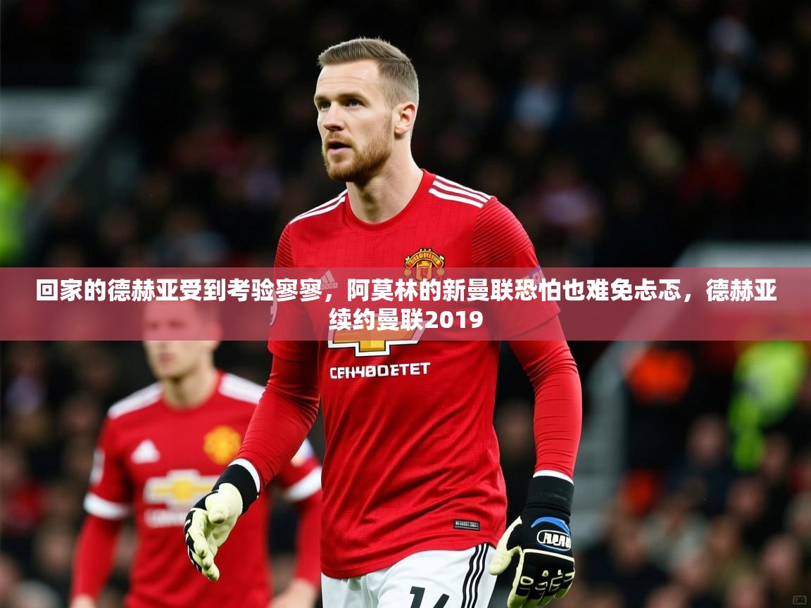2025九游娱乐官网入口回家的德赫亚受到考验寥寥,阿莫林的新曼联恐怕也难免忐忑,德赫亚续约曼联2019 第2张