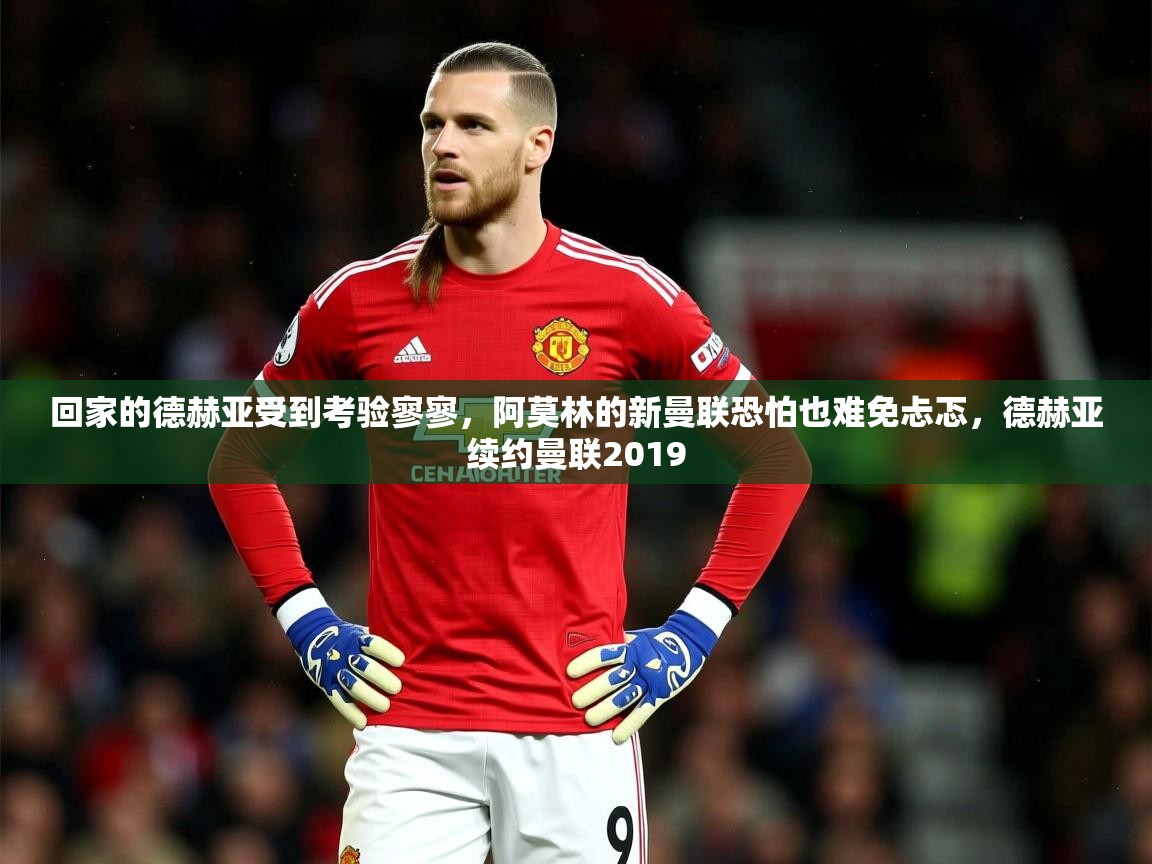 2025九游娱乐官网入口回家的德赫亚受到考验寥寥,阿莫林的新曼联恐怕也难免忐忑,德赫亚续约曼联2019 第3张