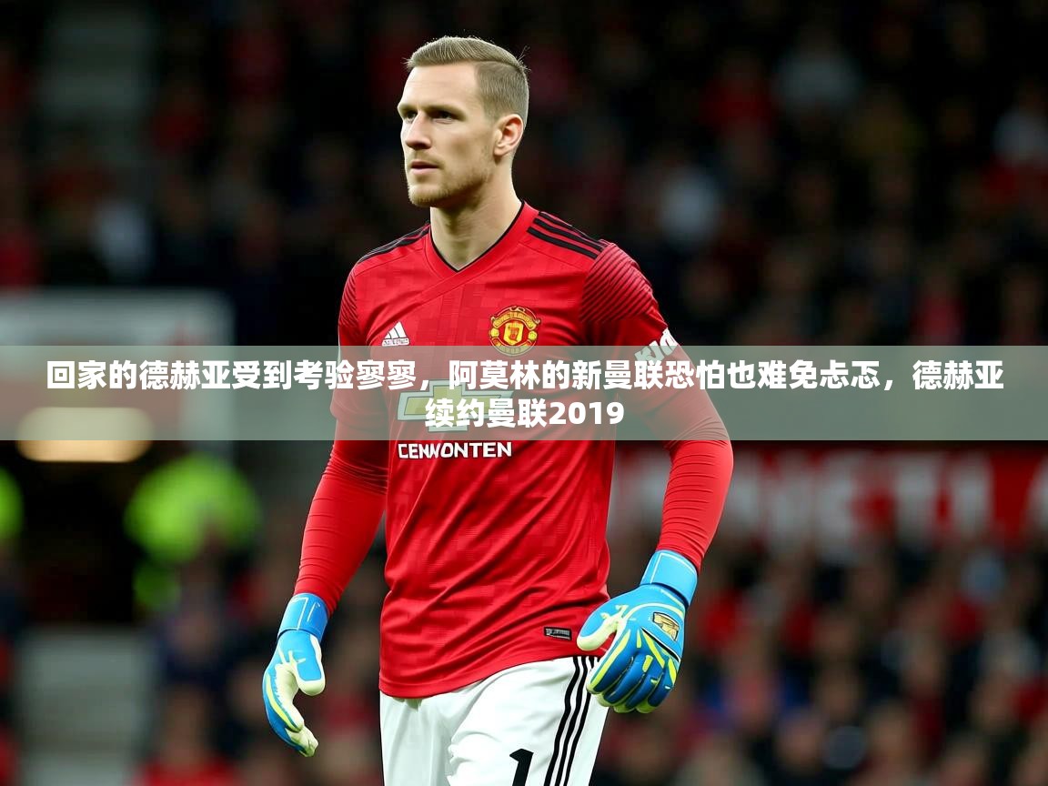 2025九游娱乐官网入口回家的德赫亚受到考验寥寥,阿莫林的新曼联恐怕也难免忐忑,德赫亚续约曼联2019 第4张
