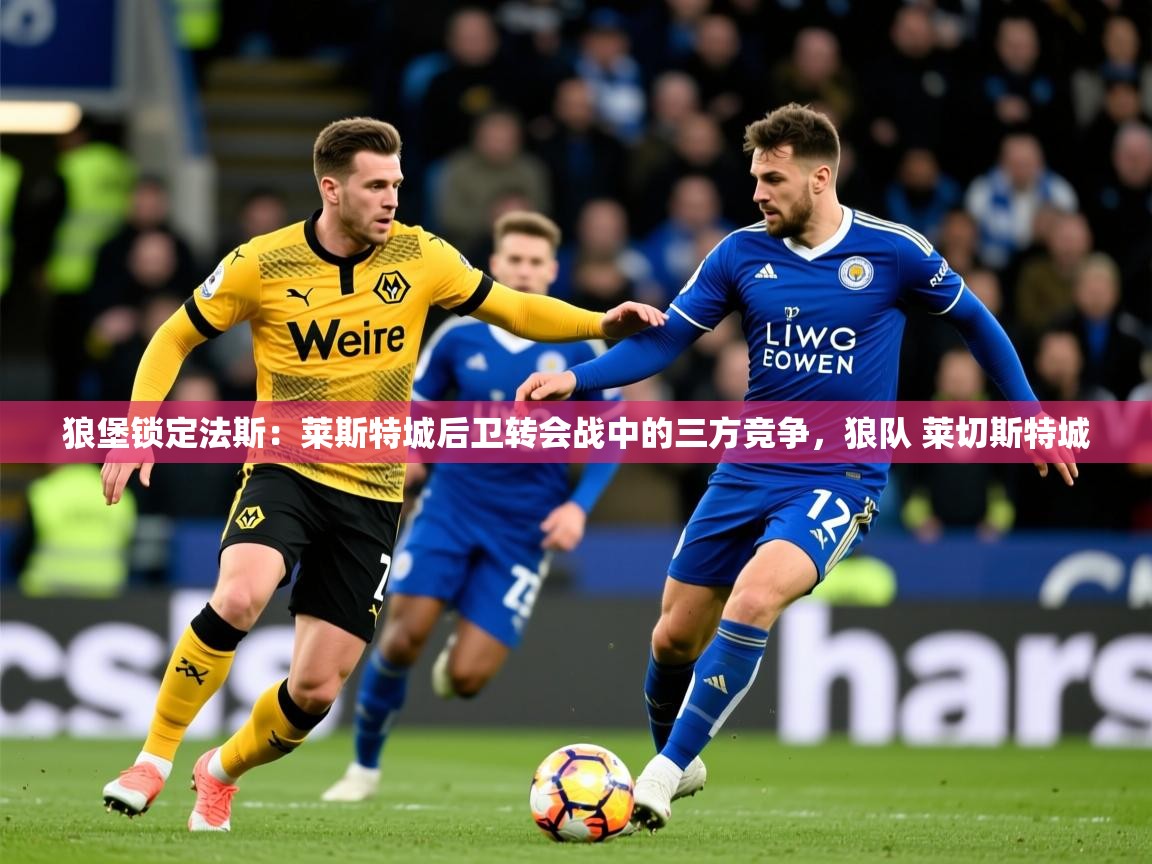 2025九游娱乐网站赞助的不莱梅狼堡锁定法斯：莱斯特城后卫转会战中的三方竞争，狼队 莱切斯特城  第2张