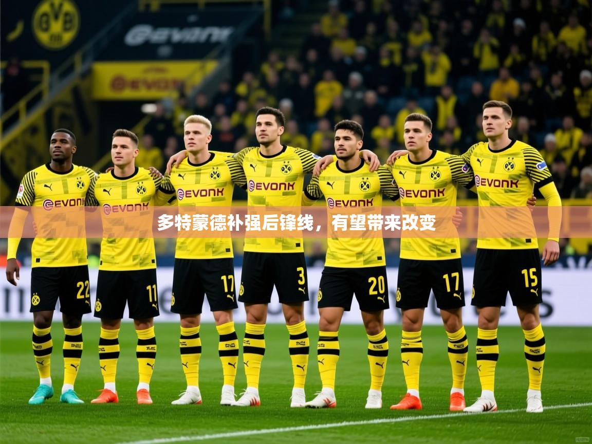2025九游娱乐app下载多特蒙德补强后锋线，有望带来改变