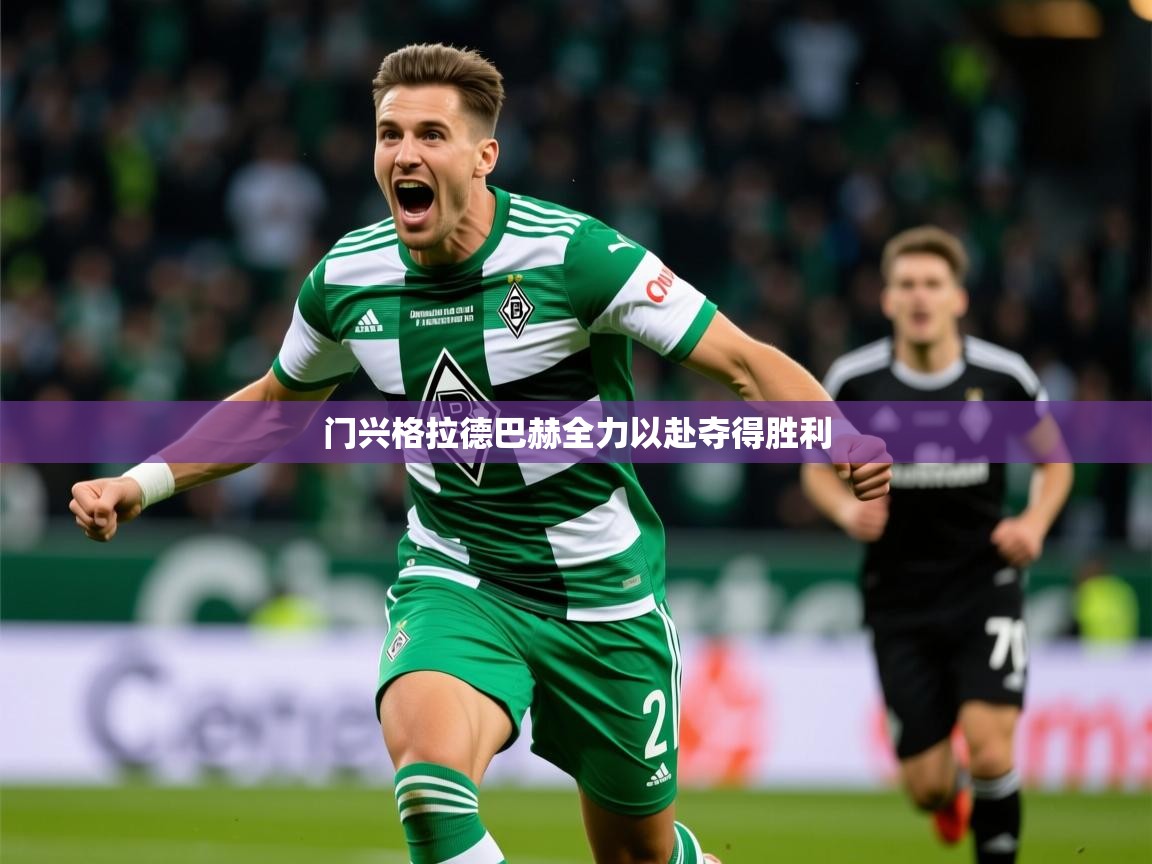 2025九游娱乐app门兴格拉德巴赫全力以赴夺得胜利  第1张