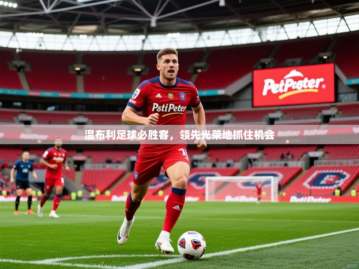 2026九游娱乐官网入口温布利足球必胜客,领先光荣地抓住机会 第2张