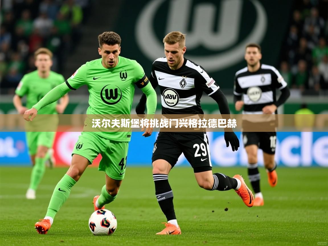 2026九游娱乐官网入口官方正版沃尔夫斯堡将挑战门兴格拉德巴赫 第1张