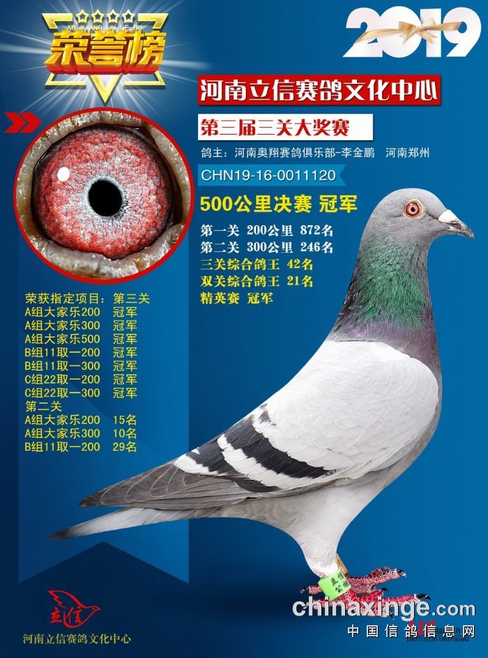 九游娱乐官方平台-关于奥斯曼尼亚田径队队员在决赛中展现出色，夺得冠军的信息